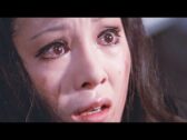 Teochew Opera-广东省百花潮剧院《洛神》复排版