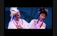 Teochew Opera-广东省百花潮剧院《洛神》复排版