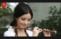Teochew Opera-广东省百花潮剧院《洛神》复排版