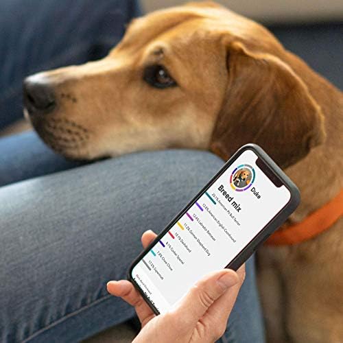 Embark | Dog DNA Test | Breed & Health Kit | Breed Identification & Canine Genetic Health Screening - Image 5
