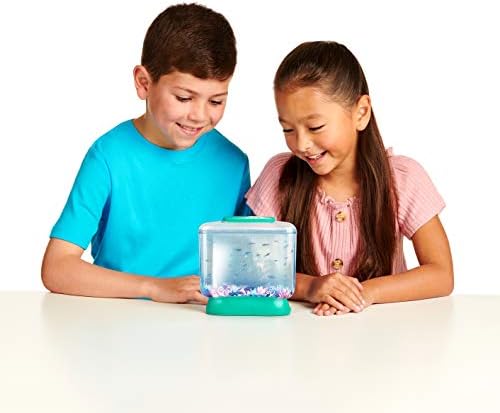 Little Live Aqua Dragons - Deep Sea Habitat - LED Light Up Tank Hatch and Grow Aquatic Pets - Image 6