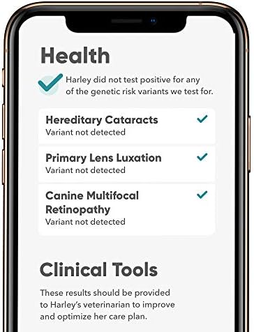 Embark | Dog DNA Test | Breed & Health Kit | Breed Identification & Canine Genetic Health Screening - Image 7