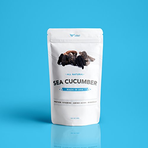 SB Organics Tiger Black Large - Wild Caught Sea Cucumber Dried All Natural Nutritious - 8 oz. - Image 2