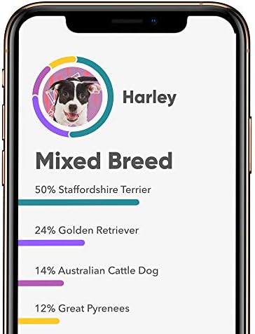 Embark | Dog DNA Test | Breed & Health Kit | Breed Identification & Canine Genetic Health Screening - Image 6