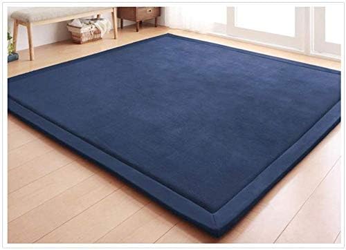 Nursery Rug Coral Velvet Crawling Rugs Mat Area Rugs Play Crawling Mat for Baby Toddler Children Play Mat Yoga Mat Exercise Pads Carpet