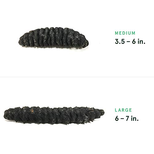 SB Organics Tiger Black Large - Wild Caught Sea Cucumber Dried All Natural Nutritious - 8 oz. - Image 4