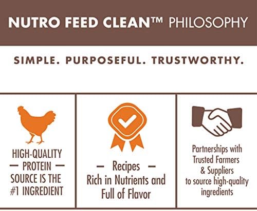NUTRO WHOLESOME ESSENTIALS Natural Dry Cat Food, Indoor Cat Adult Chicken & Brown Rice Recipe, 5 lb. Bag - Image 7
