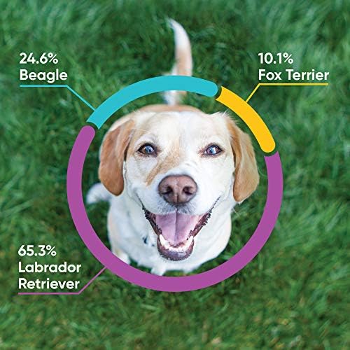 Embark | Dog DNA Test | Breed & Health Kit | Breed Identification & Canine Genetic Health Screening - Image 3