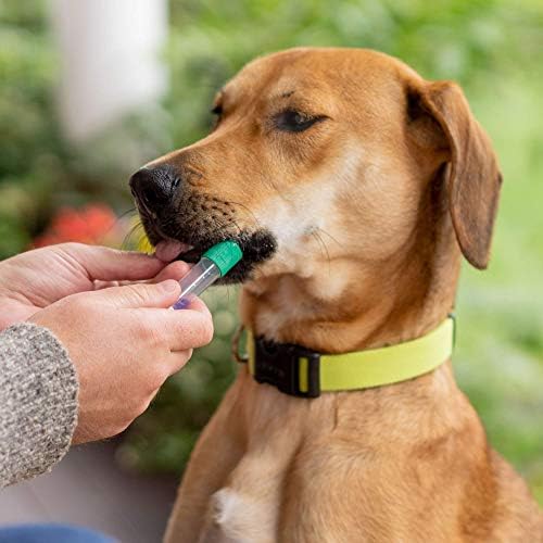 Embark | Dog DNA Test | Breed & Health Kit | Breed Identification & Canine Genetic Health Screening - Image 9