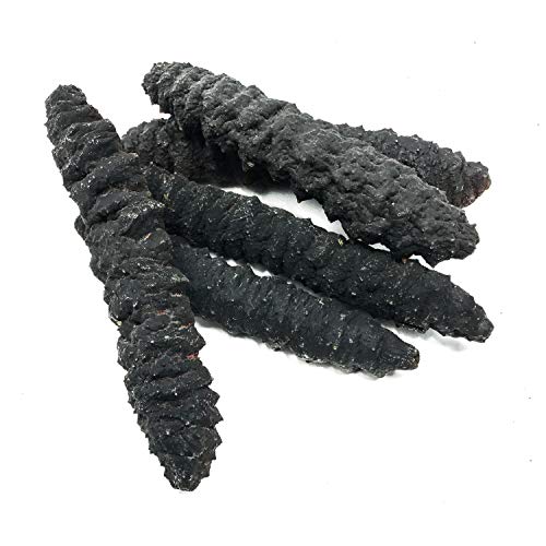 SB Organics Tiger Black Large - Wild Caught Sea Cucumber Dried All Natural Nutritious - 8 oz. - Image 3