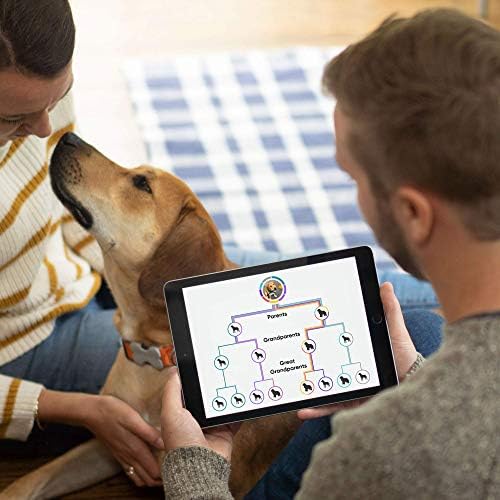 Embark | Dog DNA Test | Breed & Health Kit | Breed Identification & Canine Genetic Health Screening - Image 8
