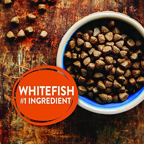 Wellness CORE Natural Grain Free Dry Dog Food, Ocean Whitefish, Herring & Salmon, 26-Pound Bag - Image 2