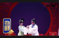Teochew Opera-广东省百花潮剧院《洛神》复排版