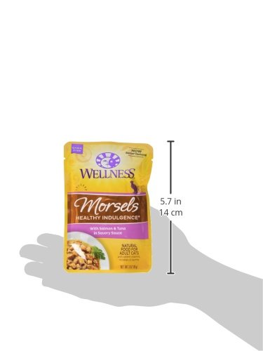 Wellness Healthy Indulgence Natural Grain Free Wet Cat Food, Morsels Salmon & Tuna, 3-Ounce Pouch (Pack of 24) - Image 2