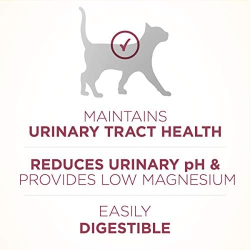 Purina ONE Urinary Tract Health High Protein, Natural Adult Dry Cat Food & Wet Cat Food - Image 7