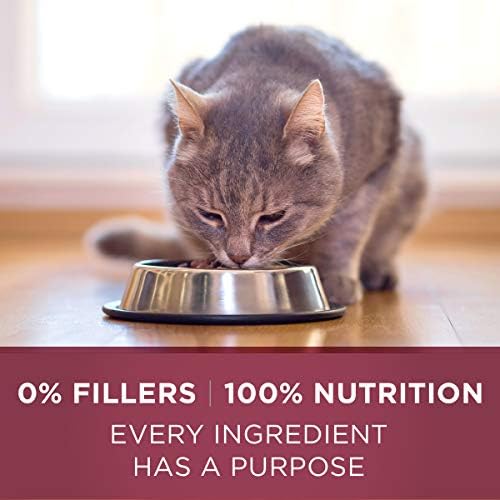 Purina ONE Urinary Tract Health High Protein, Natural Adult Dry Cat Food & Wet Cat Food - Image 8