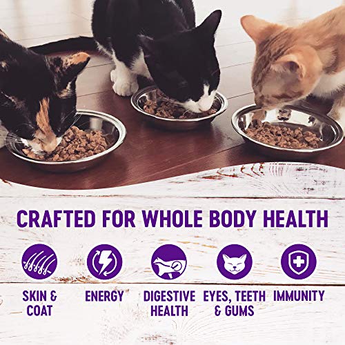 Wellness Healthy Indulgence Natural Grain Free Wet Cat Food, Morsels Chicken & Turkey, 3-Ounce Pouch (Pack of 24) - Image 3