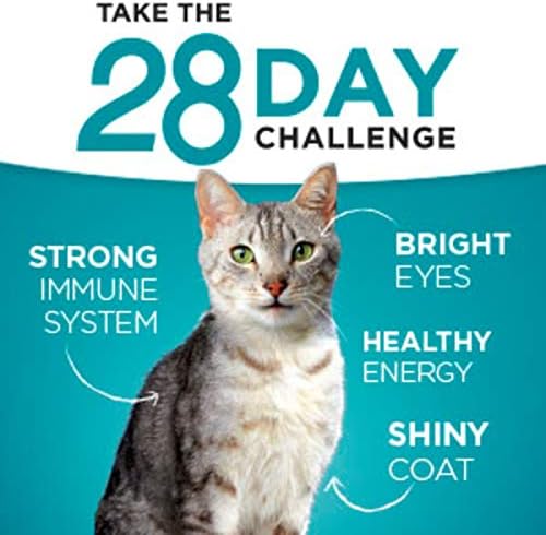 Purina ONE Urinary Tract Health High Protein, Natural Adult Dry Cat Food & Wet Cat Food - Image 2