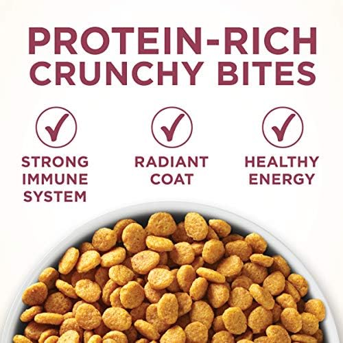 Purina ONE Urinary Tract Health High Protein, Natural Adult Dry Cat Food & Wet Cat Food - Image 4