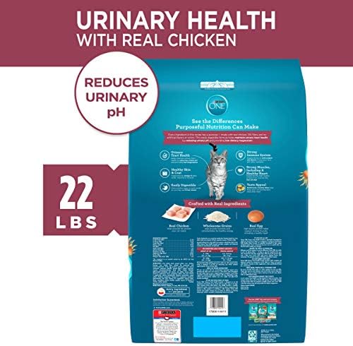 Purina ONE Urinary Tract Health High Protein, Natural Adult Dry Cat Food & Wet Cat Food - Image 3
