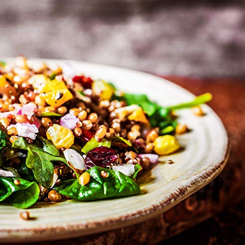 Oh! Nuts White Quinoa Bulk 3LB Seeds | Grain-Like Plant Protein Source, Cooking & Kosher Certified Pantry Items | Superfood Survival Bag Healthy Dried Food Staple for Gluten-Free, Vegan & Paleo Diets - Image 5