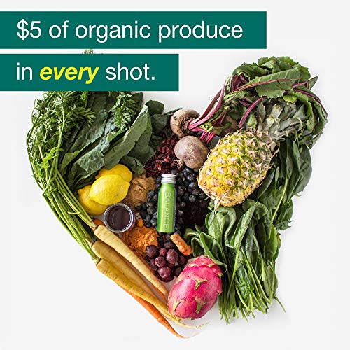 Daily Superfood Variety Pack - Green Smoothie, Immunity Blend & Ginger Turmeric Shot - 1/2 Day Organic Fruits, Root Vegetables, Kale, Acai & Elderberry Too Vegan & Gluten Free (6 Pack) - Image 4
