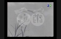 1607919026_hqdefault.jpg
