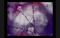 Teochew Opera-广东省百花潮剧院《洛神》复排版
