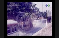 1608561130_hqdefault.jpg