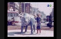 1608583102_hqdefault.jpg