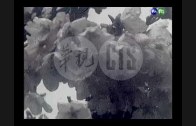 1608750408_hqdefault.jpg