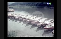 1608994310_hqdefault.jpg