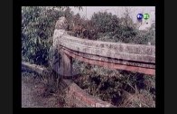Teochew Opera-广东省百花潮剧院《洛神》复排版
