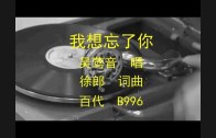 Teochew Opera-广东省百花潮剧院《洛神》复排版