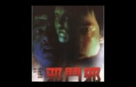 Teochew Opera-广东省百花潮剧院《洛神》复排版