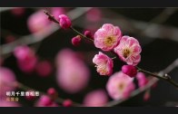 Teochew Opera-广东省百花潮剧院《洛神》复排版