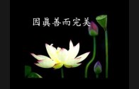 1612291044_hqdefault.jpg