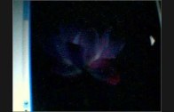1612537310_hqdefault.jpg
