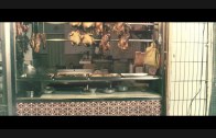 Teochew Opera-广东省百花潮剧院《洛神》复排版