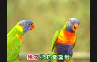 1613117288_hqdefault.jpg