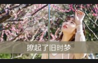 Teochew Opera-广东省百花潮剧院《洛神》复排版