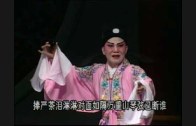 Teochew Opera-广东省百花潮剧院《洛神》复排版