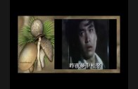 Teochew Opera-广东省百花潮剧院《洛神》复排版