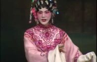 Teochew Opera-广东粤东潮剧院《血染南梁宫》上部