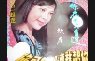 Teochew Opera-广东省百花潮剧院《洛神》复排版
