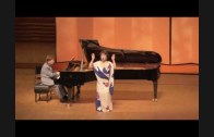 Teochew Opera-广东省百花潮剧院《洛神》复排版
