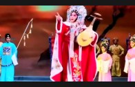 Teochew Opera-广东省百花潮剧院《洛神》复排版