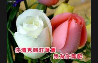 Teochew Opera-广东省百花潮剧院《洛神》复排版