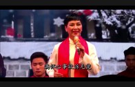 Teochew Opera-广东省百花潮剧院《洛神》复排版