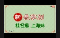 Teochew Opera-广东省百花潮剧院《洛神》复排版